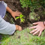 AgForestry-InternationalSeminar-PlantingTrees4 (1 of 1)